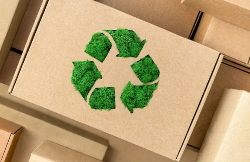 Services - sorting line and recovered materials ready for conversion